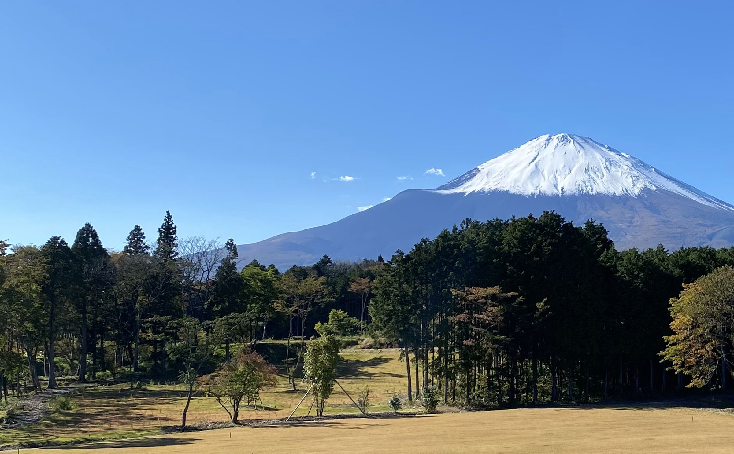 高嶺の森のキャンプ場